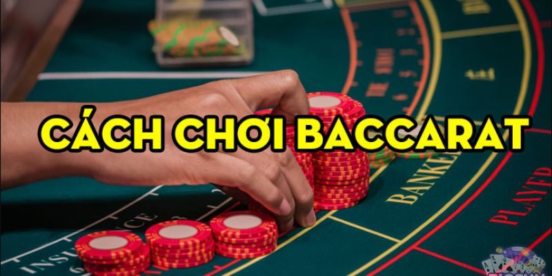 Hướng dẫn đặt cược Baccarat 