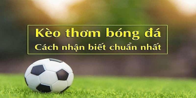 Nhận biết cửa cược thơm chuẩn xác